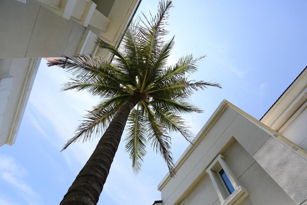 Taroko Bay B&B Xincheng Township Εξωτερικό φωτογραφία